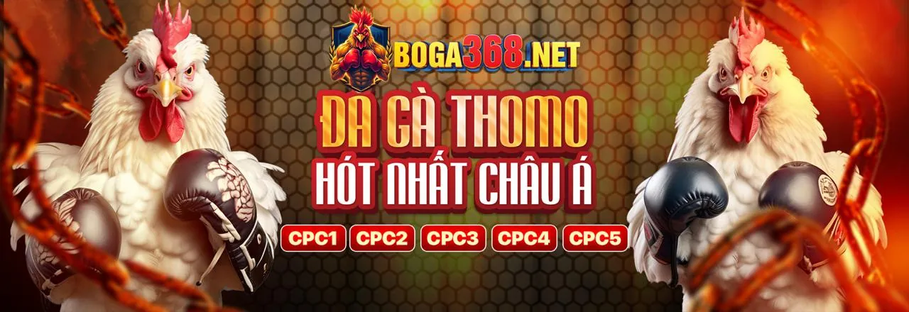 Đá gà trực tuyến i999 app